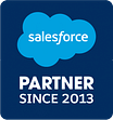 Salesforce Partner Since 2013